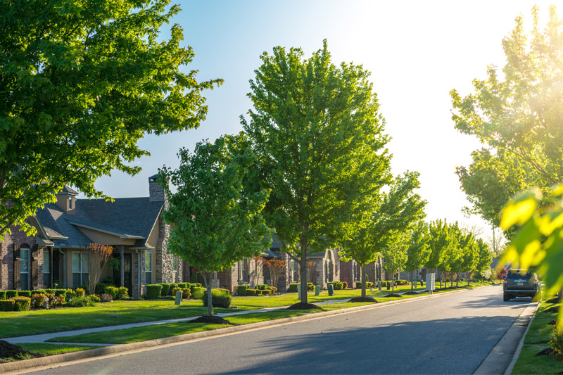 What You Need to Know About Property Lines in Silver Spring